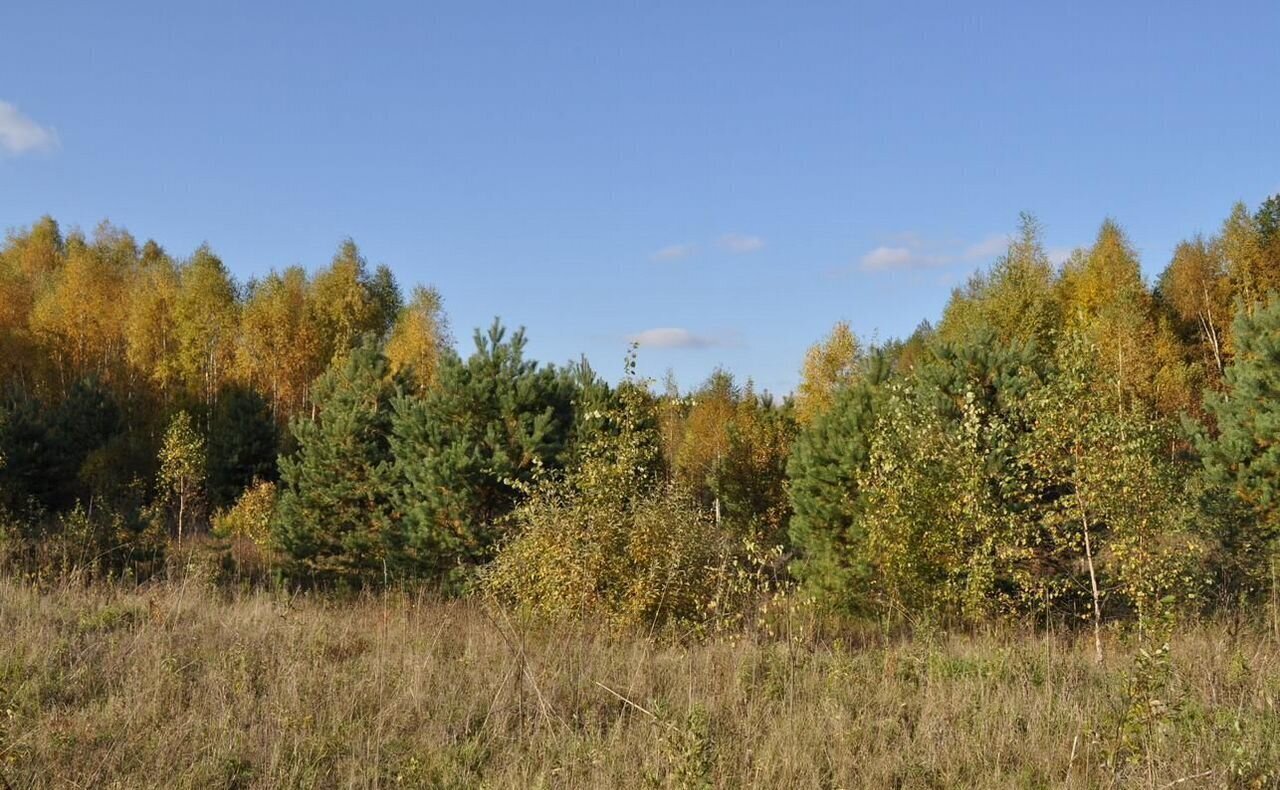 земля городской округ Серпухов д Верхние Велеми 61 км, г. о. Серпухов, Пролетарский, Симферопольское шоссе фото 3