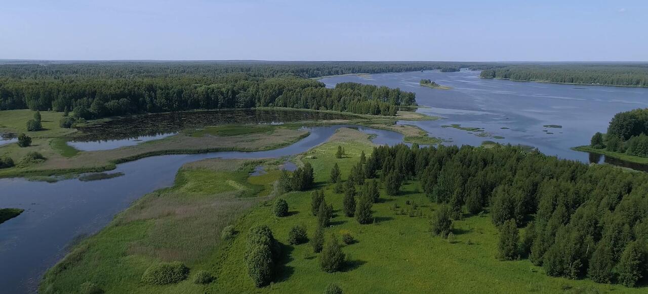 земля р-н Красносельский Красносельский район, Красивая земля территория днп фото 5