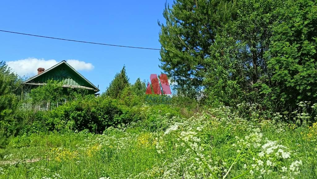 дом р-н Ярославский д Вощино д. 14 фото 9