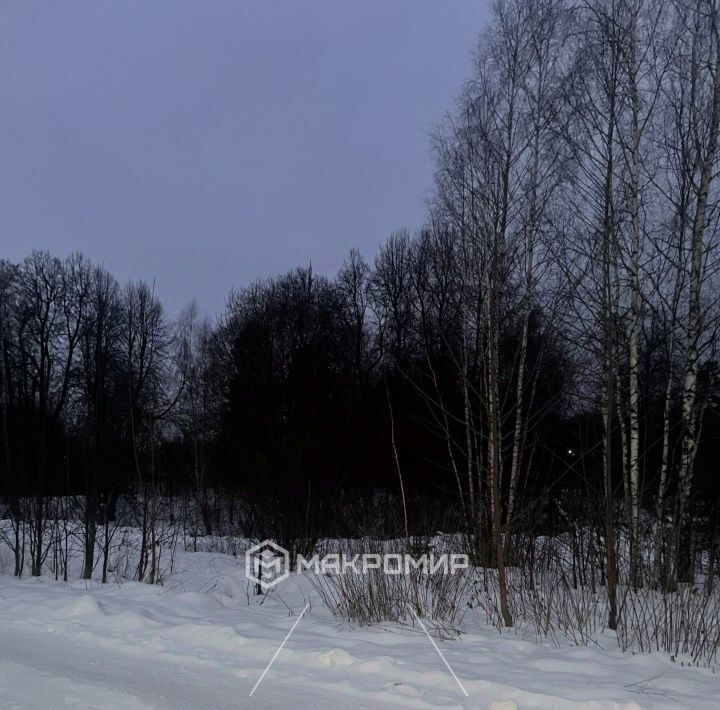 земля городской округ Можайский д Денисьево фото 5