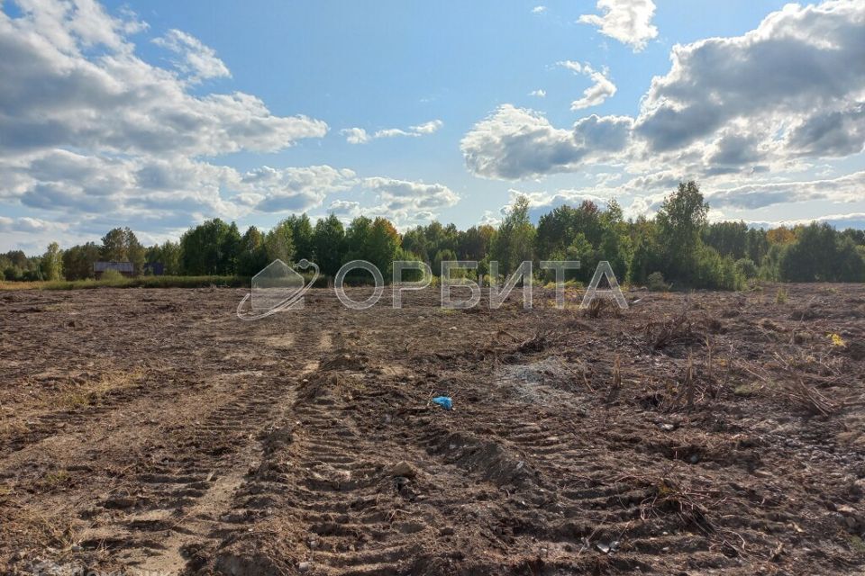 земля р-н Нижнетавдинский село Тюнево фото 1