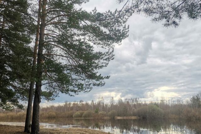 ул Мещерская 16к/1 городской округ Рязань фото