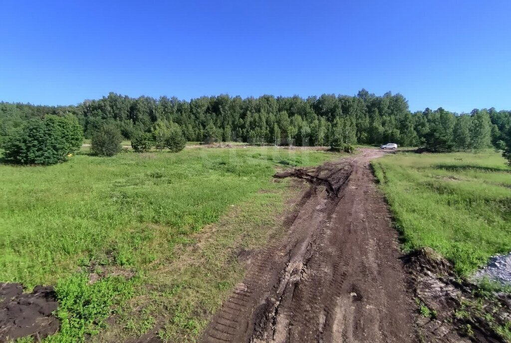 земля р-н Нижнетавдинский снт Царицыно ул Блока фото 1