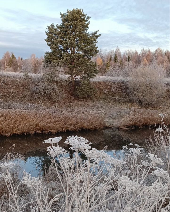 земля городской округ Талдомский д Кутачи 89 км, Дубна, Дмитровское шоссе фото 5