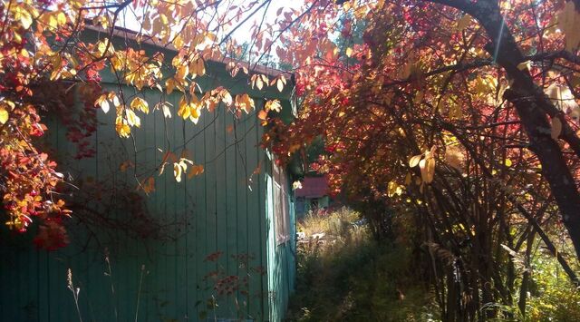 тер. ТСН Лесное Невьянский городской округ фото