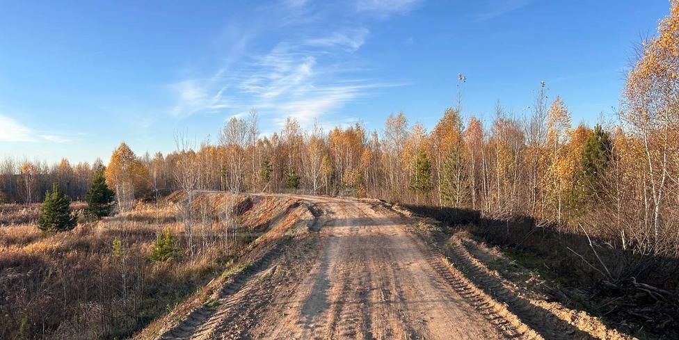 земля р-н Тюменский рп Винзили Винзилинское сельское поселение фото 3