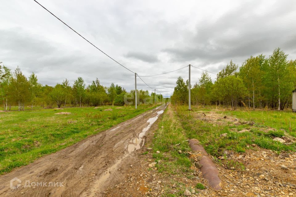 земля р-н Хабаровский село Виноградовка фото 7