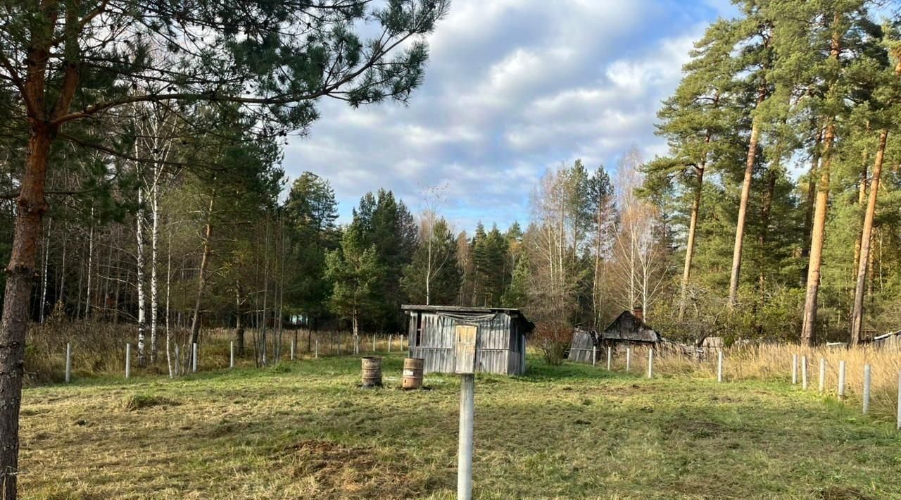 земля р-н Переславский п Релинский ул Смолокурная Переславль-Залесский муниципальный округ фото 9