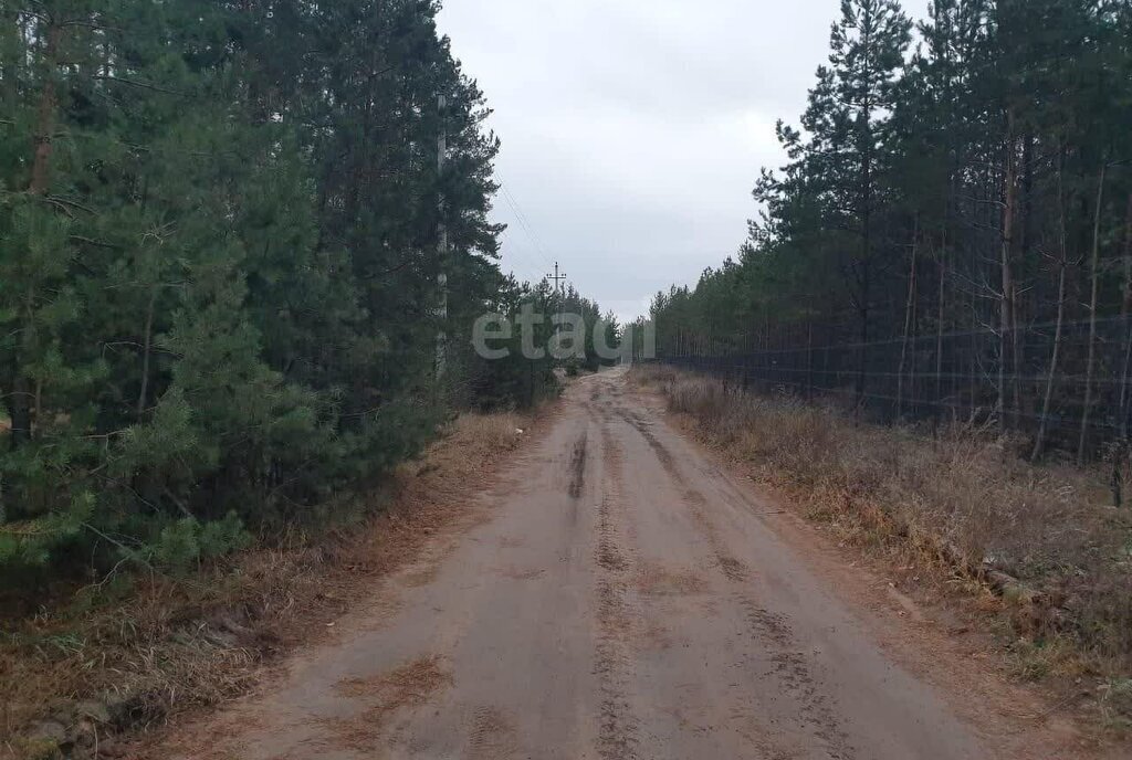 земля р-н Рамонский с Староживотинное ул Северная Айдаровское сельское поселение фото 7