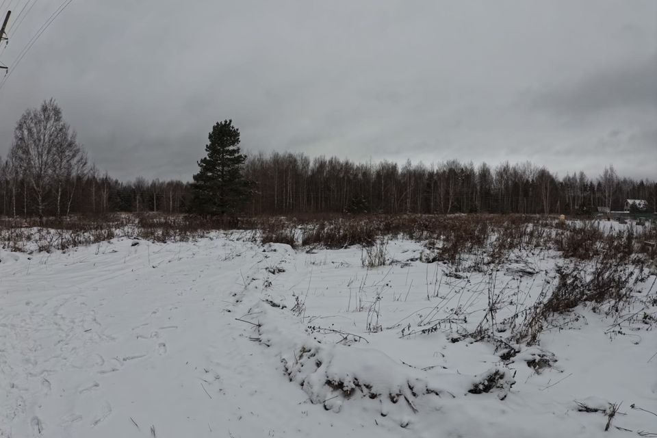 земля городской округ Шатура д. Югино фото 2