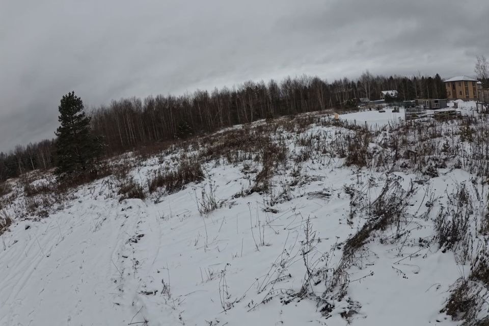 земля городской округ Шатура д. Югино фото 4