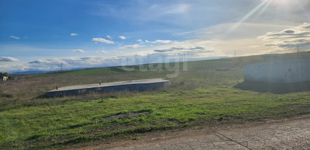 земля р-н Белогорский с Крымская Роза ул Гагарина фото 3