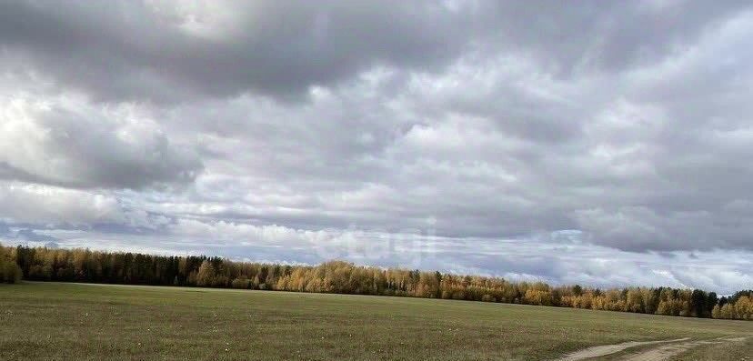 земля р-н Соликамский с Тохтуева ул Мира Соликамский городской округ фото 3