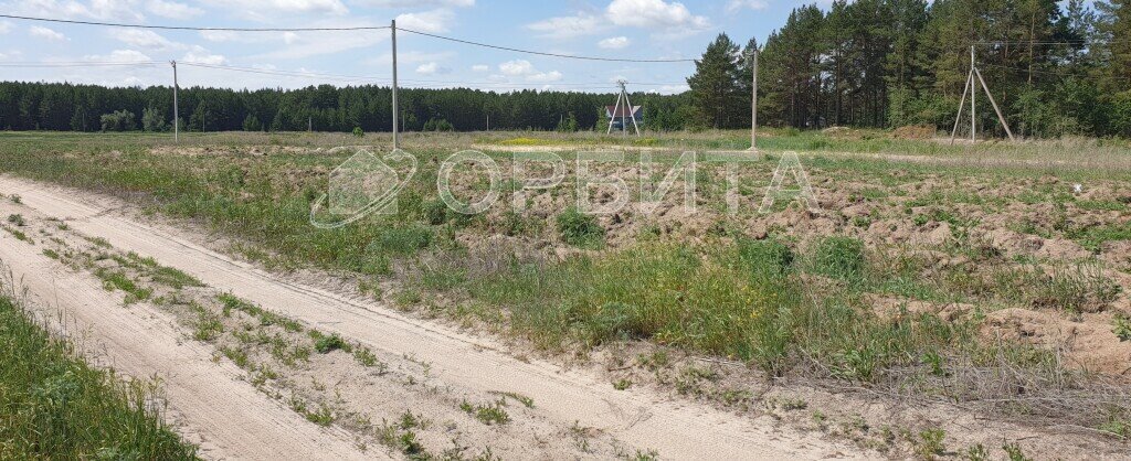 земля р-н Тюменский д Криводанова фото 3