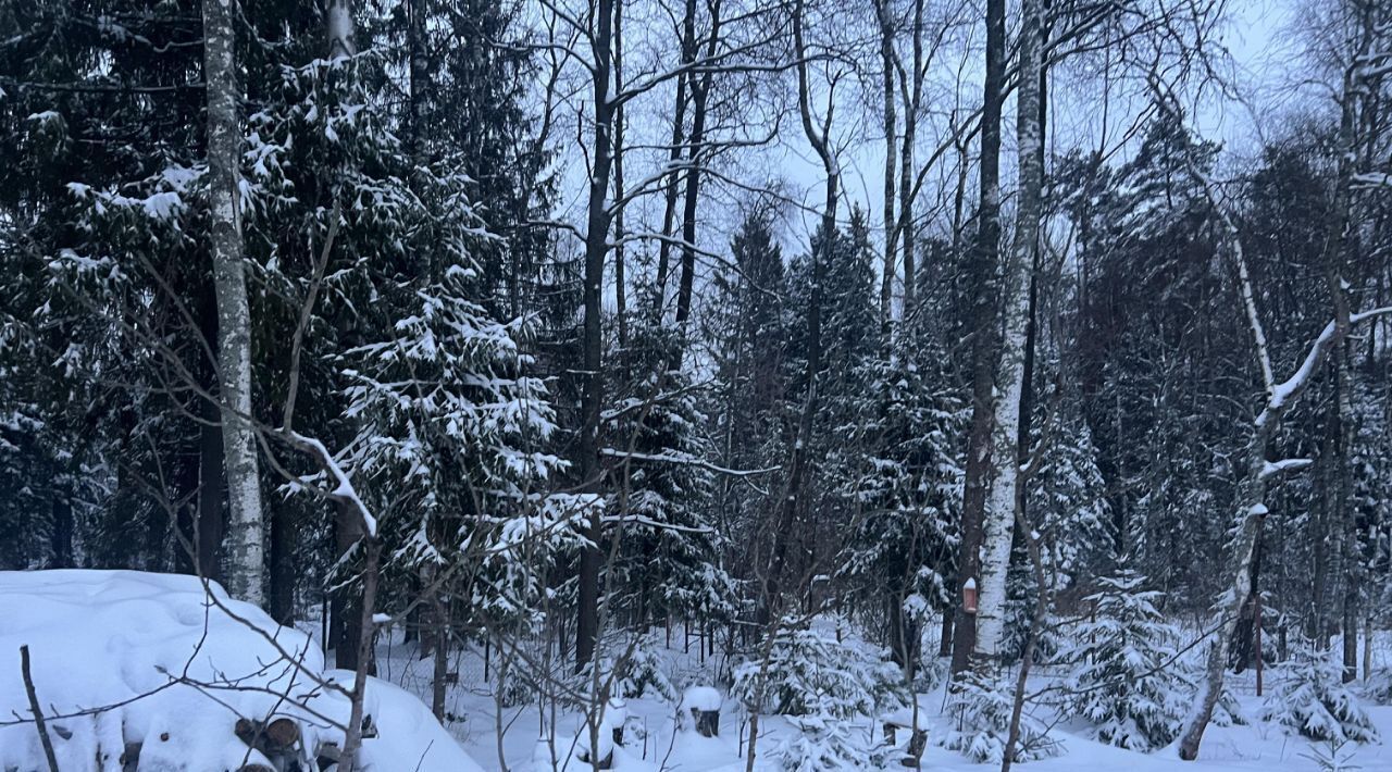 дом городской округ Дмитровский Медовое кп, ул. 3-я Медовая фото 44