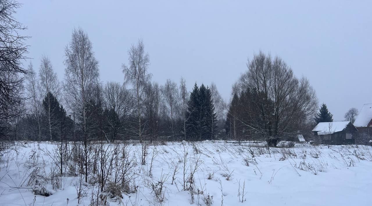 земля городской округ Волоколамский д Поповкино ул Воздвиженка фото 5