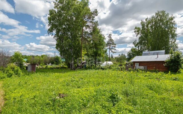 Бердское шоссе, Новосибирск, СНТ Строитель фото