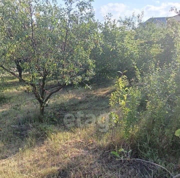 земля р-н Белгородский с Зеленая Поляна ул Колхозная Беломестненское с/пос фото 5