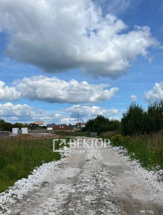 земля р-н Красносельский д Большое Андрейково Боровиковское с/пос, 12 фото 3