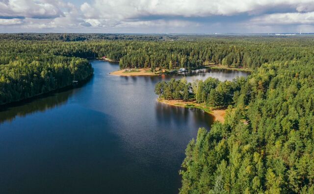 Мурманское шоссе, 12 км, Колтушское городское поселение, коттеджный пос. Крокусы фото