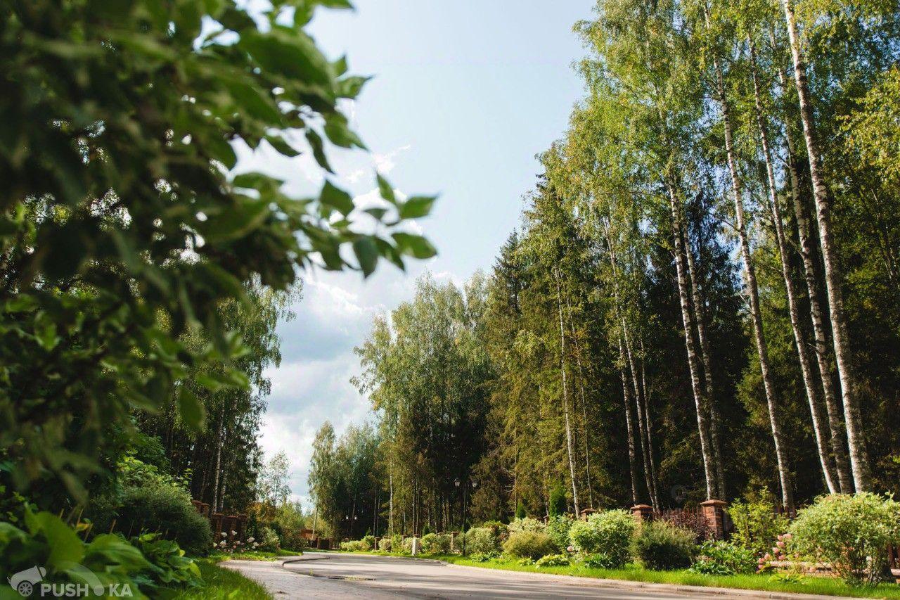 земля городской округ Рузский с Рождествено ул Магистральная 5 Сычево фото 15