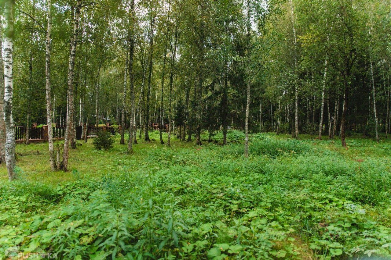 земля городской округ Рузский Коттеджный поселок Руза Фэмили Парк, Пушкинский бульвар, 29, Сычево фото 13