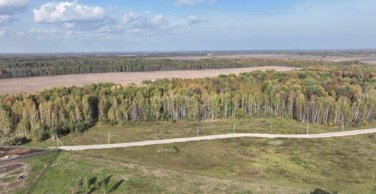 земля р-н Нижнетавдинский д Московка Тюмень фото 4