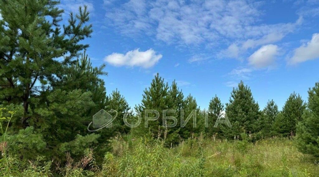 земля р-н Тюменский с Салаирка ул Депутатская Салаирское сельское поселение фото 1