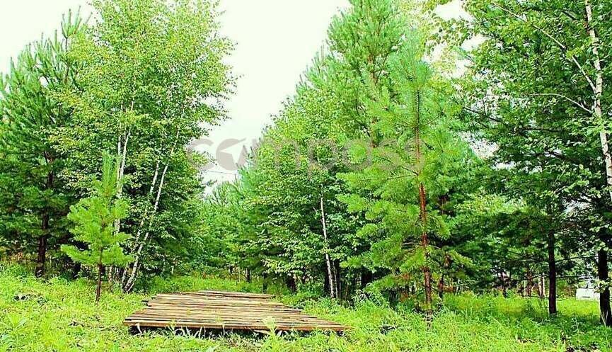 земля р-н Ялуторовский с Сингуль Татарский фото 13