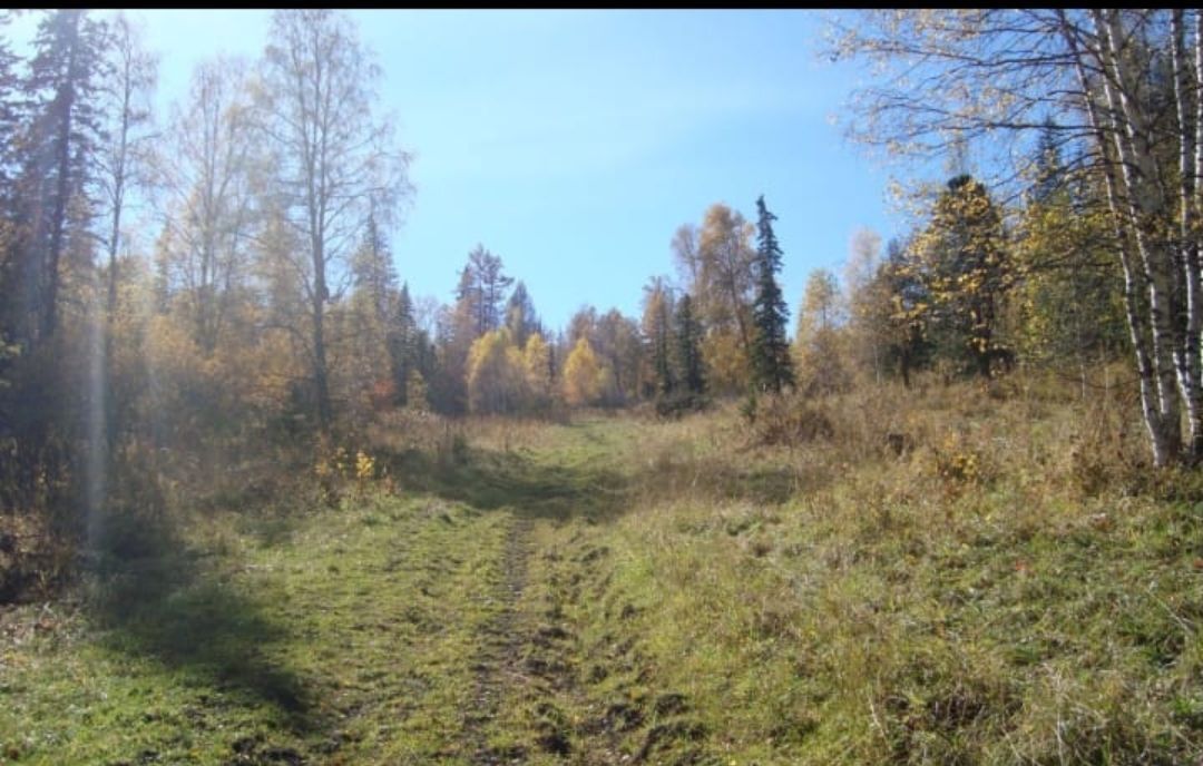 земля р-н Шебалинский с Шебалино ул Советская Онгудай фото 3