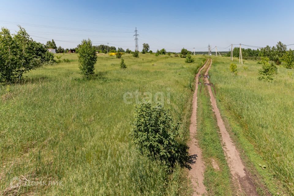 земля р-н Первомайский с Санниково СНТ Овощевод фото 10