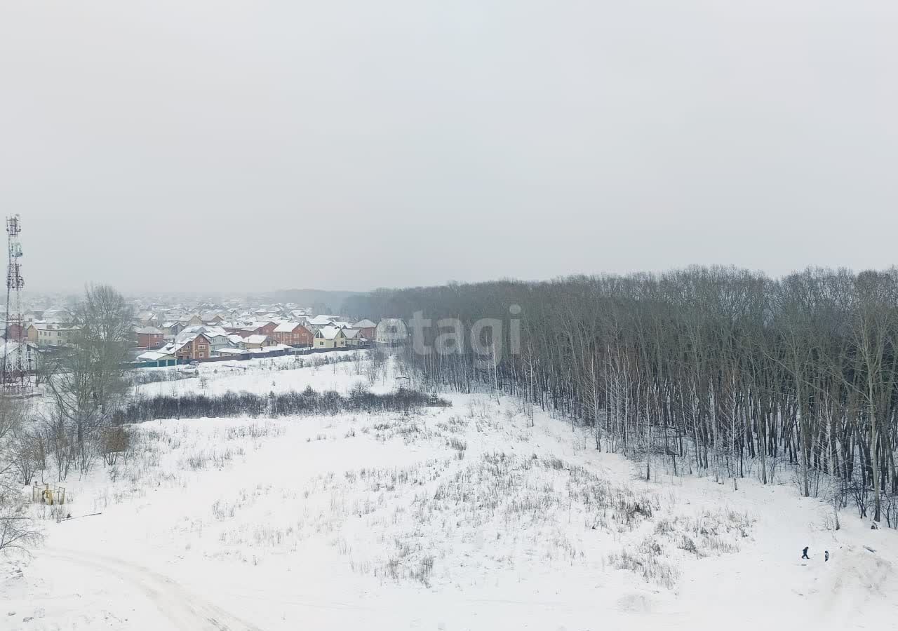 квартира г Новосибирск р-н Кировский ул Александра Чистякова 22/1 ЖК «Акварельный 3.0» фото 17