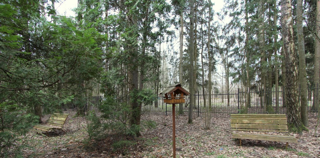 дом Истра муниципальный округ, пос. Пионерский фото 34