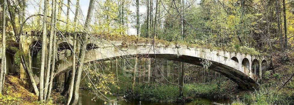 земля р-н Нестеровский п Лесистое фото 4