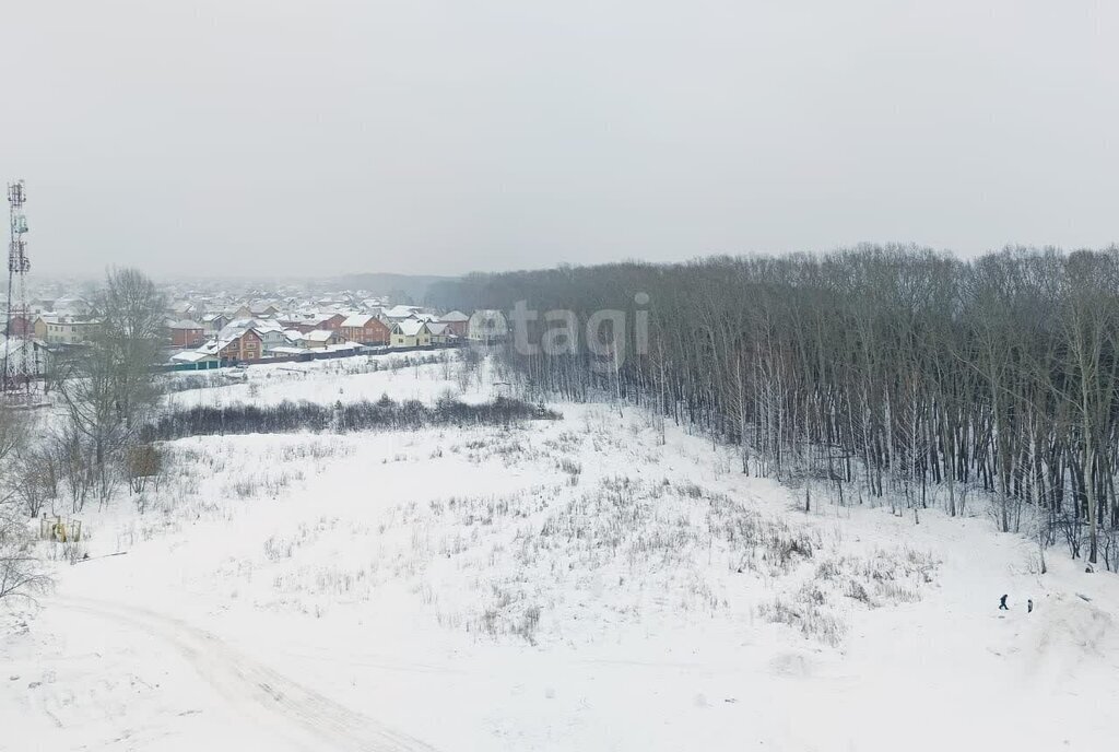 квартира г Новосибирск р-н Кировский ул Александра Чистякова 22/1 Площадь Маркса фото 17