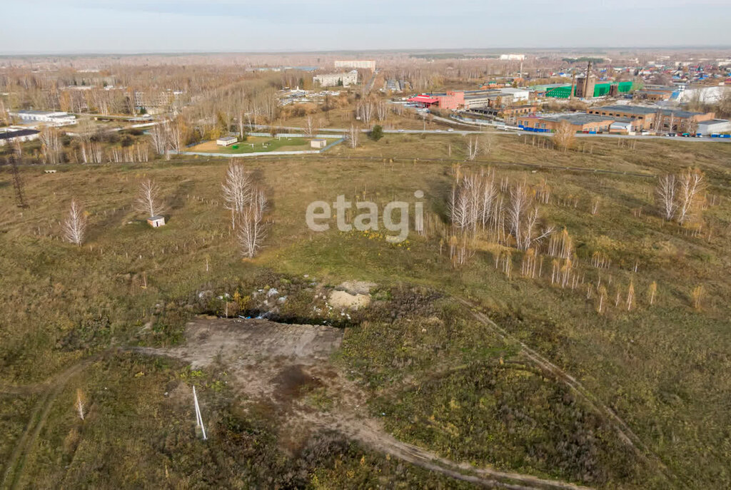 земля р-н Колыванский п Паутовский сельсовет фото 11