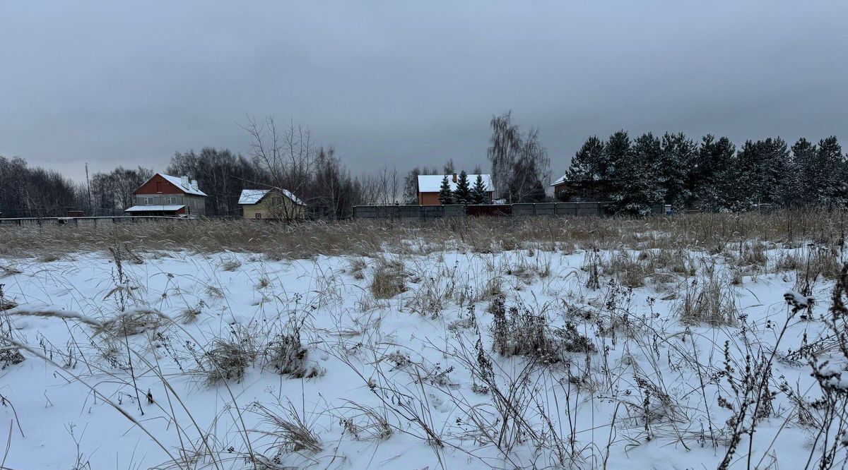 офис городской округ Богородский д Новое Подвязново ул Центральная фото 1