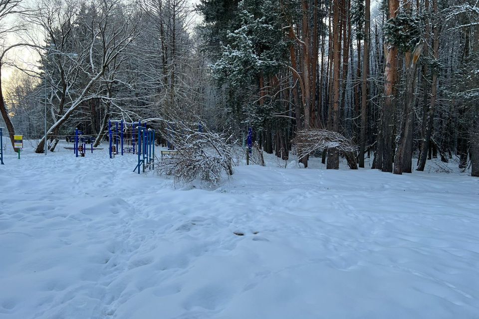 квартира г Домодедово Домодедово городской округ, 2-я Московская улица, 58 фото 7