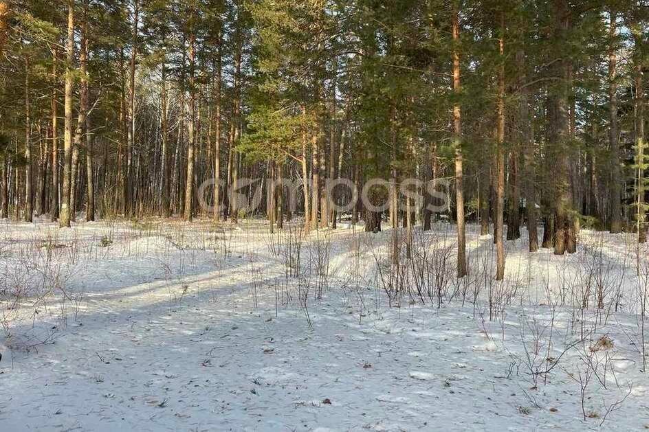 земля р-н Тюменский д Ушакова Переваловское сельское поселение фото 2