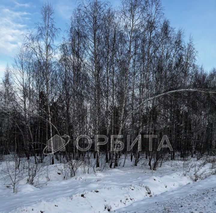 земля г Тюмень п Березняковский р-н Центральный ул Степана Колокольникова 44 фото 3