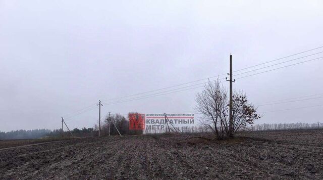 Старооскольский городской округ фото