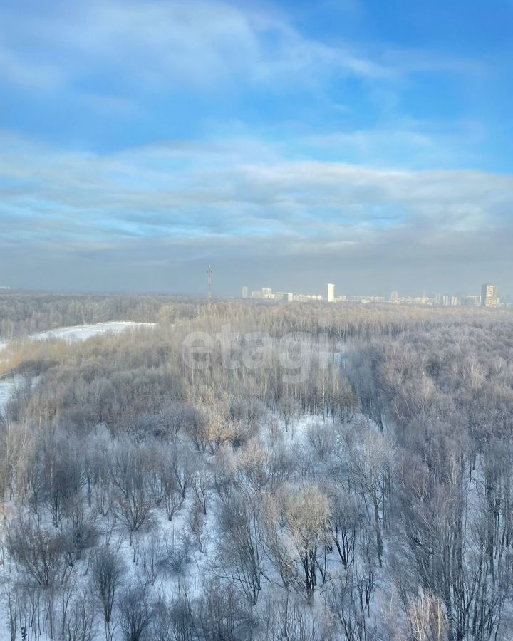 квартира г Москва метро Лесопарковая ш Варшавское 168 муниципальный округ Чертаново Южное фото 21