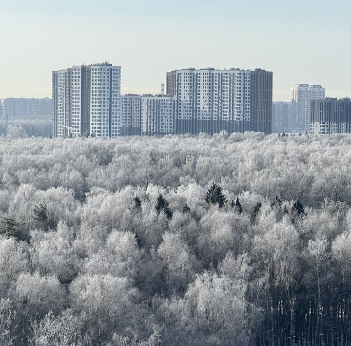 квартира г Москва ул Картмазовские Пруды 2к/1 Филатов Луг Филатов Луг, Филатов Луг жилой комплекс фото 20