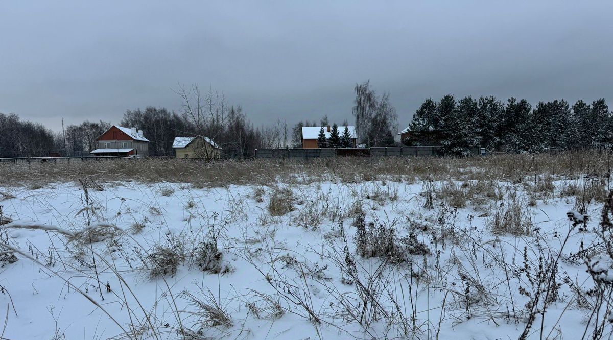 офис городской округ Богородский д Новое Подвязново фото 1