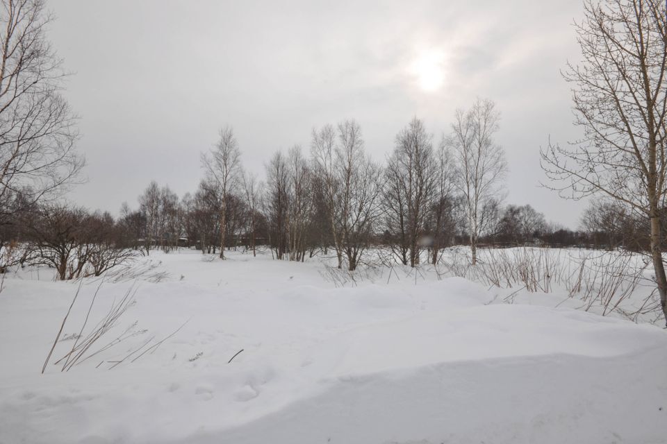 земля г Южно-Сахалинск городской округ Южно-Сахалинск, СНТ Златоглазка фото 8