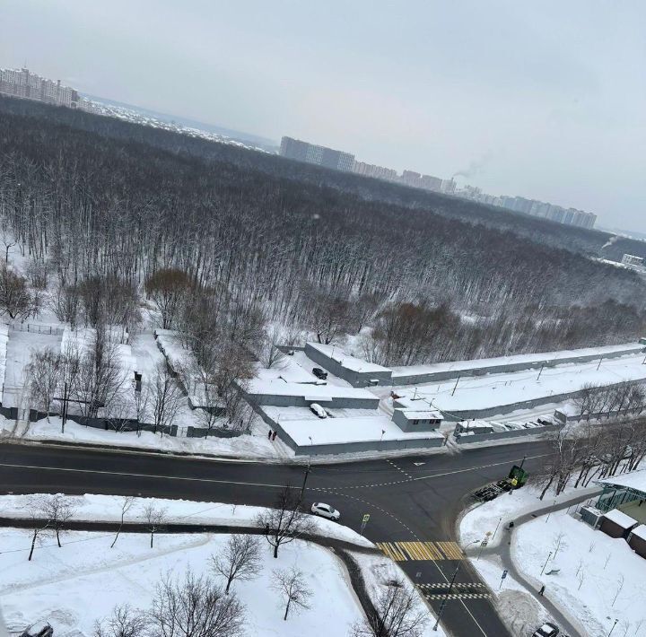 квартира г Москва метро Красногвардейская ул Тамбовская 3/13 муниципальный округ Орехово-Борисово Южное фото 18