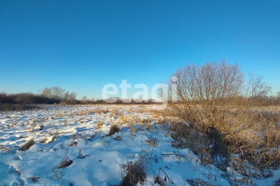 земля городской округ Сосновоборск, Сосновоборск фото 1