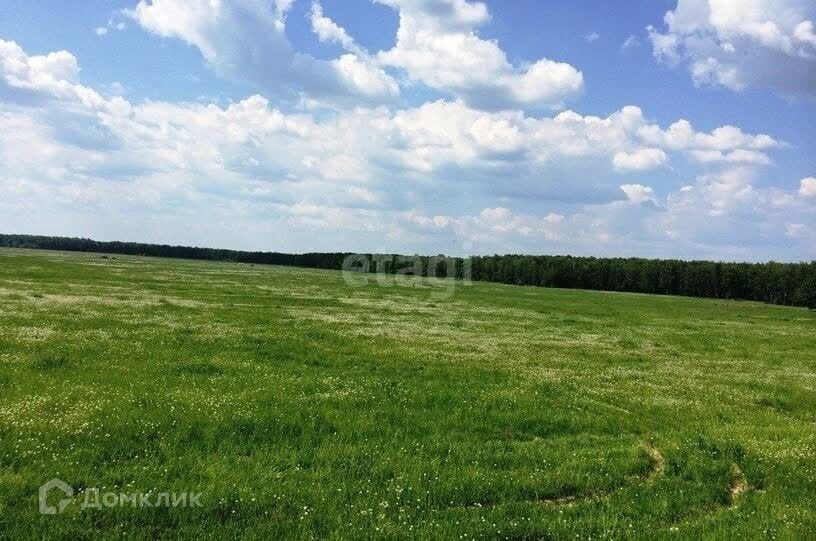 земля р-н Тукаевский Тургай, Александрийская, 71 фото 1