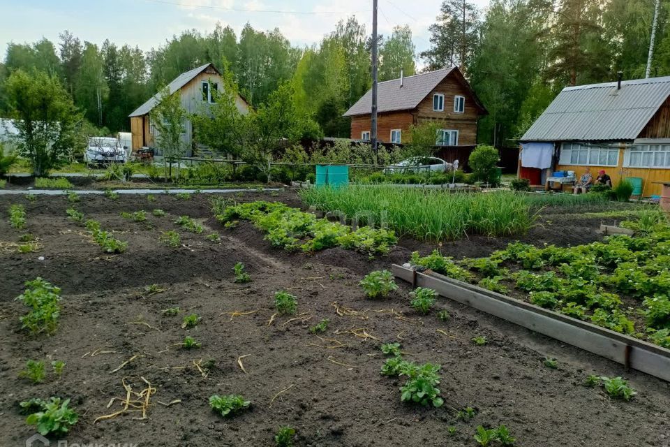 земля р-н Пригородный СПК ГПО Уралвагонзавод фото 7