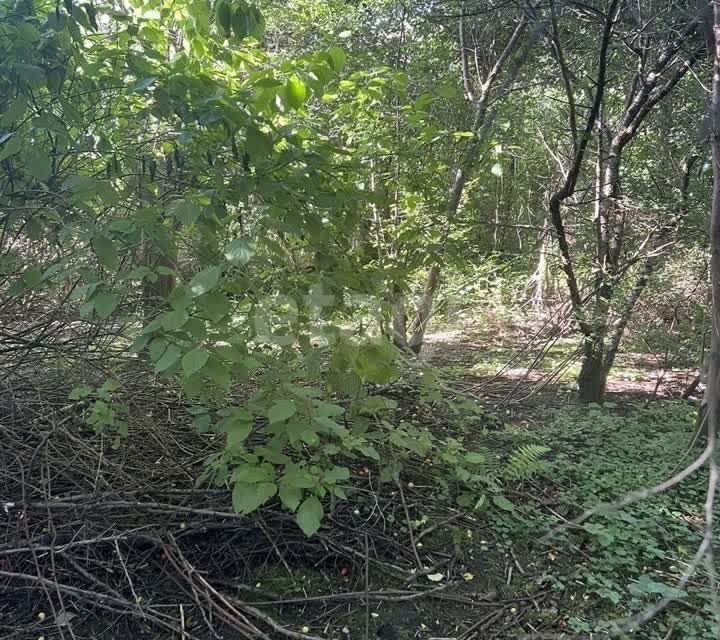 земля г Калининград р-н Центральный снт Радуга Калининград городской округ, 4-й Садовый проезд, 42 фото 8